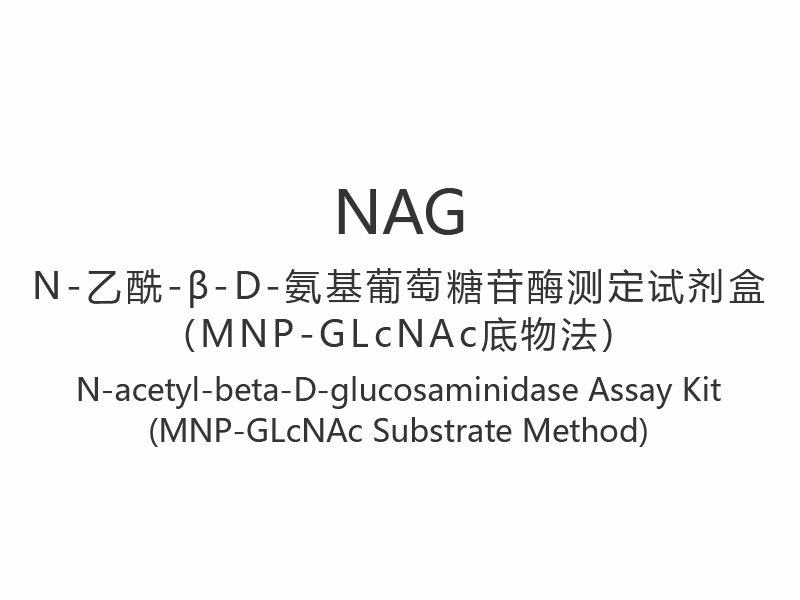 【NAG】N-acetyl-beta-D-glucosaminidase Assay Kit (MNP-GLcNAc সাবস্ট্রেট পদ্ধতি)